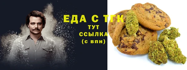 хмурый Гусев