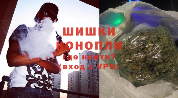 хмурый Гусев